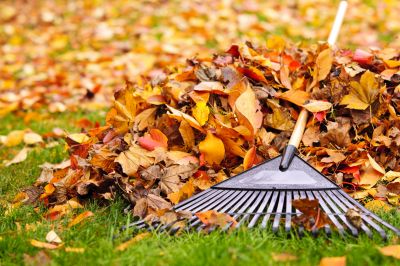 Fall Yard Maintenance