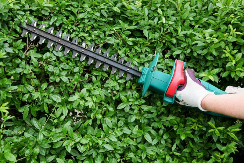 Hedge Pruning Equipment
