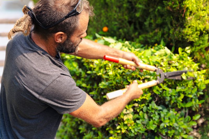 Seasonal Hedge Maintenance