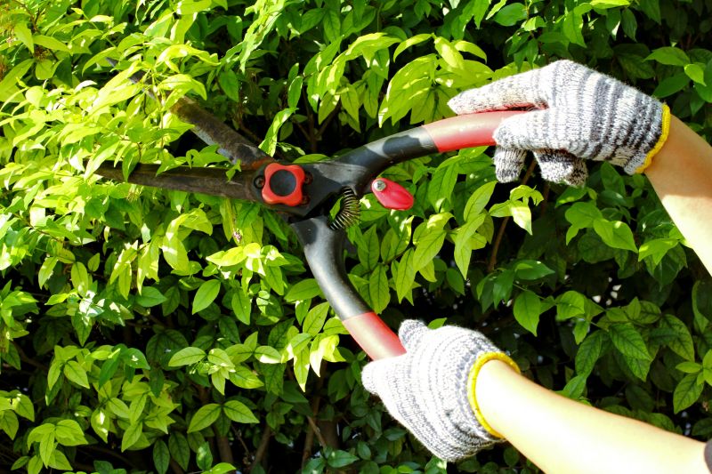 Pruning Tools and Techniques