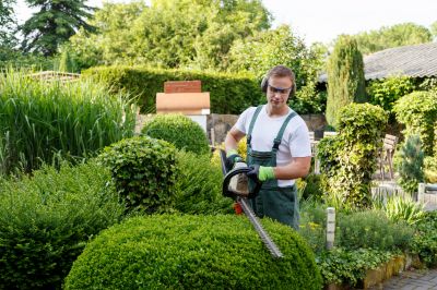 Products For Hedge Prunings in use