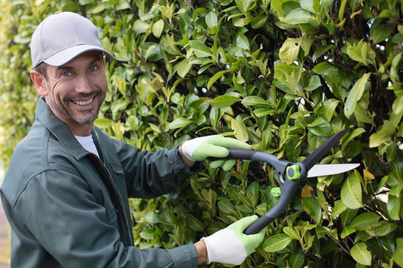 Seasonal Hedge Care